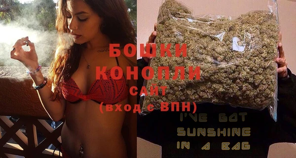 прущие грибы Сатка