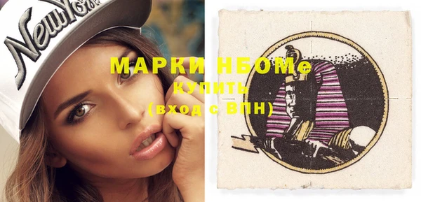 прущие грибы Сатка