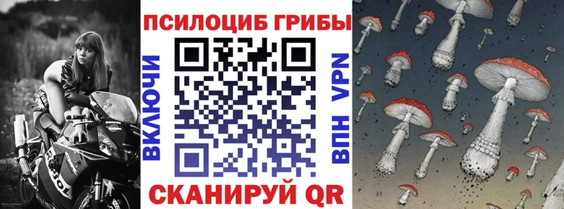 Купить закладки  Грозный  Галлюциногенные грибы мухоморы 